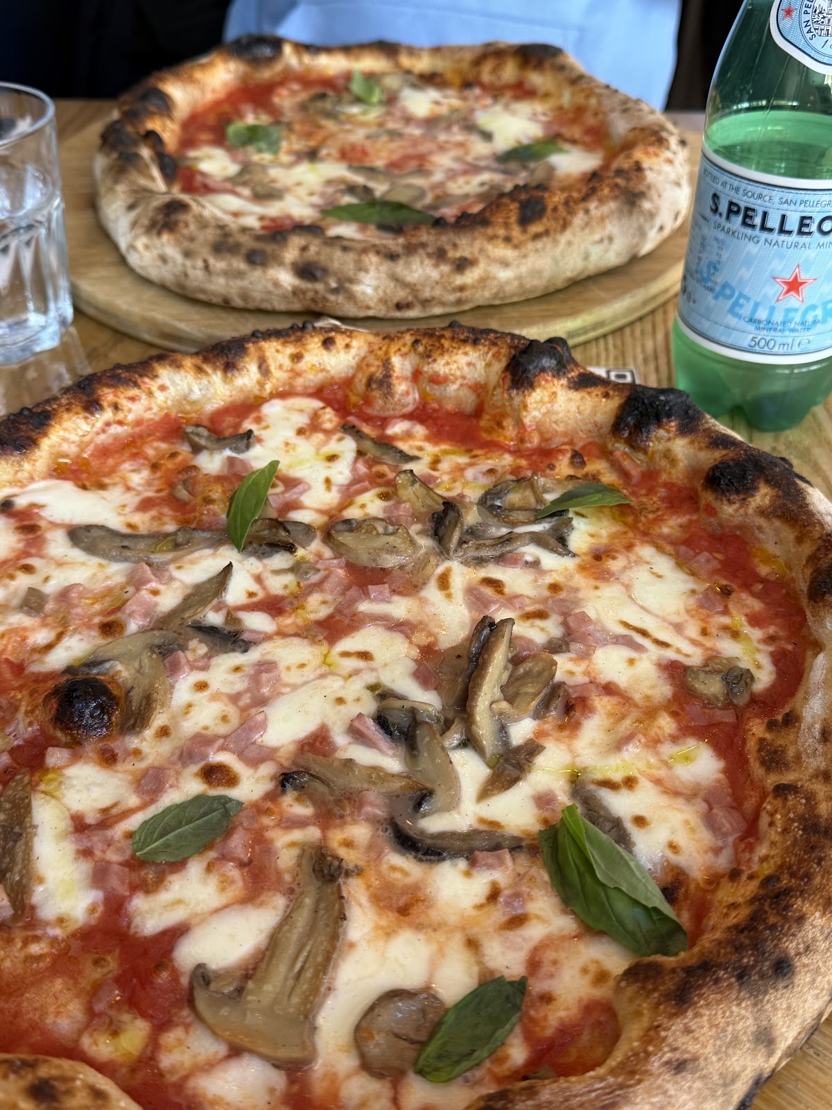 Neapolitan mushroom and mozzarella pizza with basil